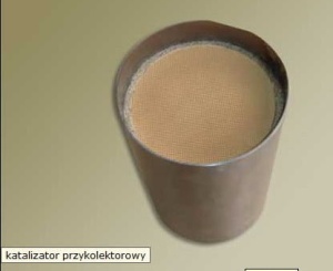 Katlizator przykolektorowy  10/111 (1390198)