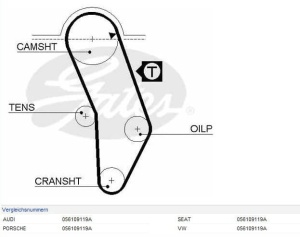 Pasek rozrządu 121z VW/AUDI/SEAT 1,3-1,8 74- CT637#G5016 (1391745)