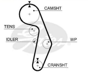 PASER ROZRZĄDU SEAT SKODA VW 5491XS (1392045)