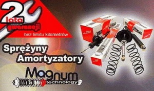 Sprężyna zawieszenia przedniego --TICO  4111178B30000# S00000MT (1393999)