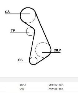 Pasek rozrządu 121z VW/AUDI/SEAT 1,3-1,8 74- CT637#G5016 (1391744)