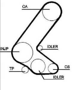 Pasek rozrządu 131z OPEL ASTRA / CORSA 5563XS #CT1014 (1391749)