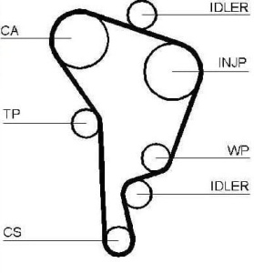 Pasek rozrządu 141z AUDI/SEAT/SKODA/VW  5559XS#1987949578 (1391756)