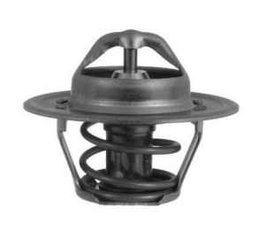 Termostat VW GOLF III I IV 1.4 1391 AEX  VER 5962.82 (1394490)