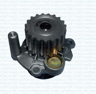 34075425.jpg