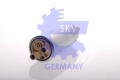 34853387.jpg