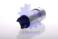 35099066.jpg