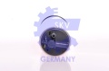 35100274.jpg