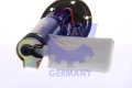 35392536.jpg