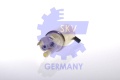 35397031.jpg